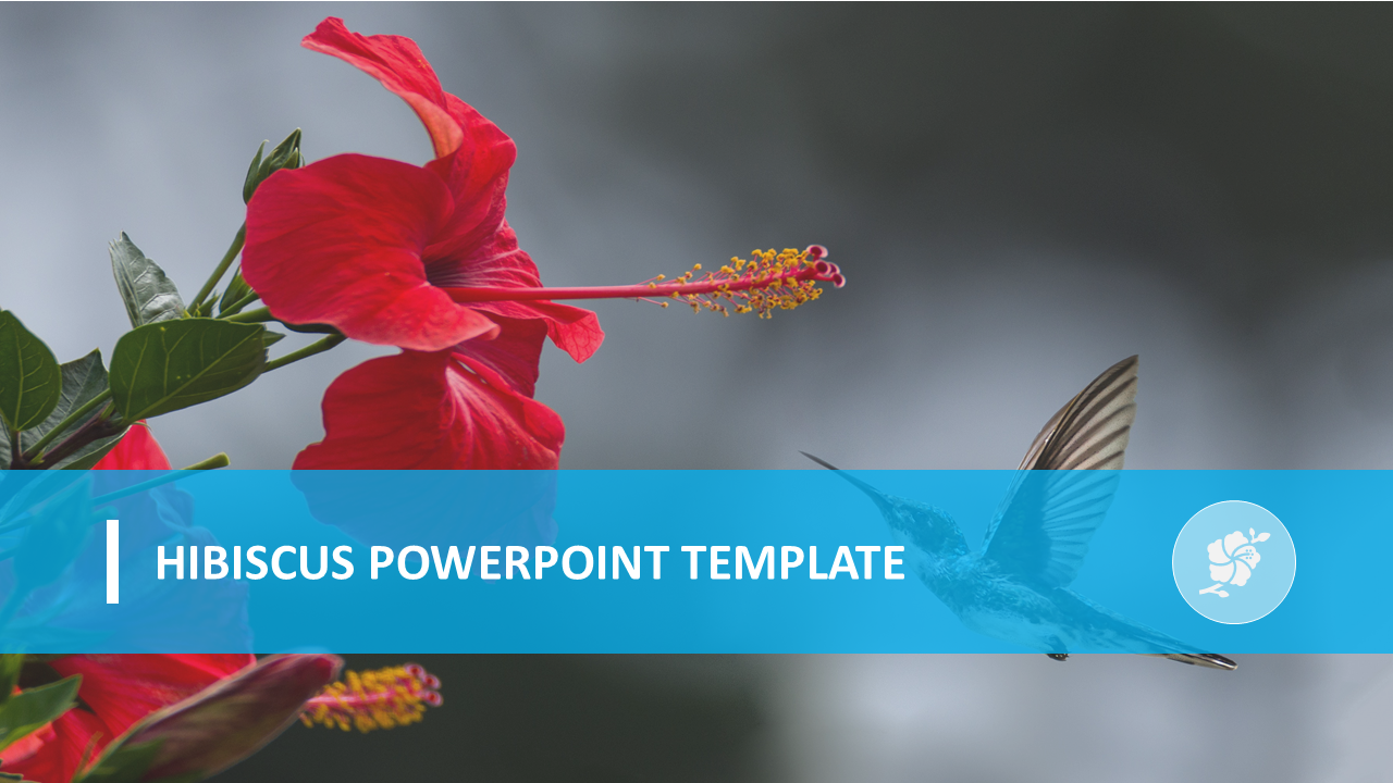 Hibiscus PowerPoint template